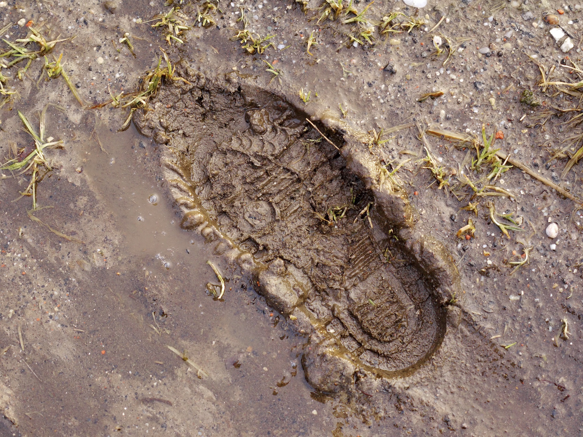 footprint in mud