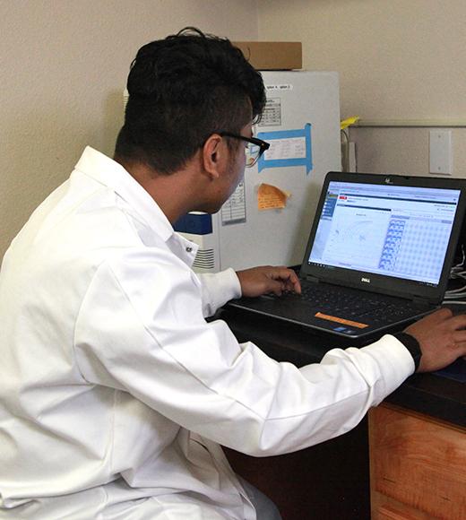 UC Davis Forensic Science MS student looking at a computer in the lab
