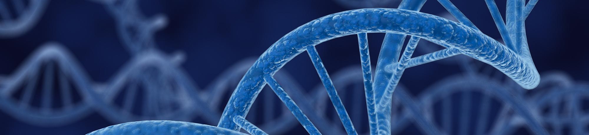 graphical rendering of dna strands